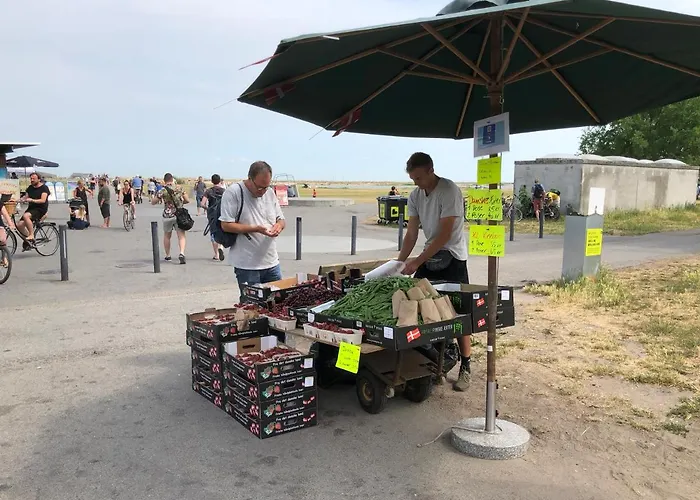 Ama Hyg Atelier Copenhagen-delicius Near The Beach,metro, Airport Apartment *