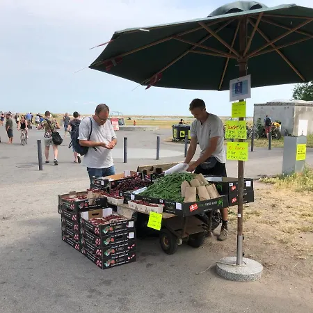 Ama Hyg Atelier Copenhagen-delicius Near The Beach,metro, Airport Apartament *